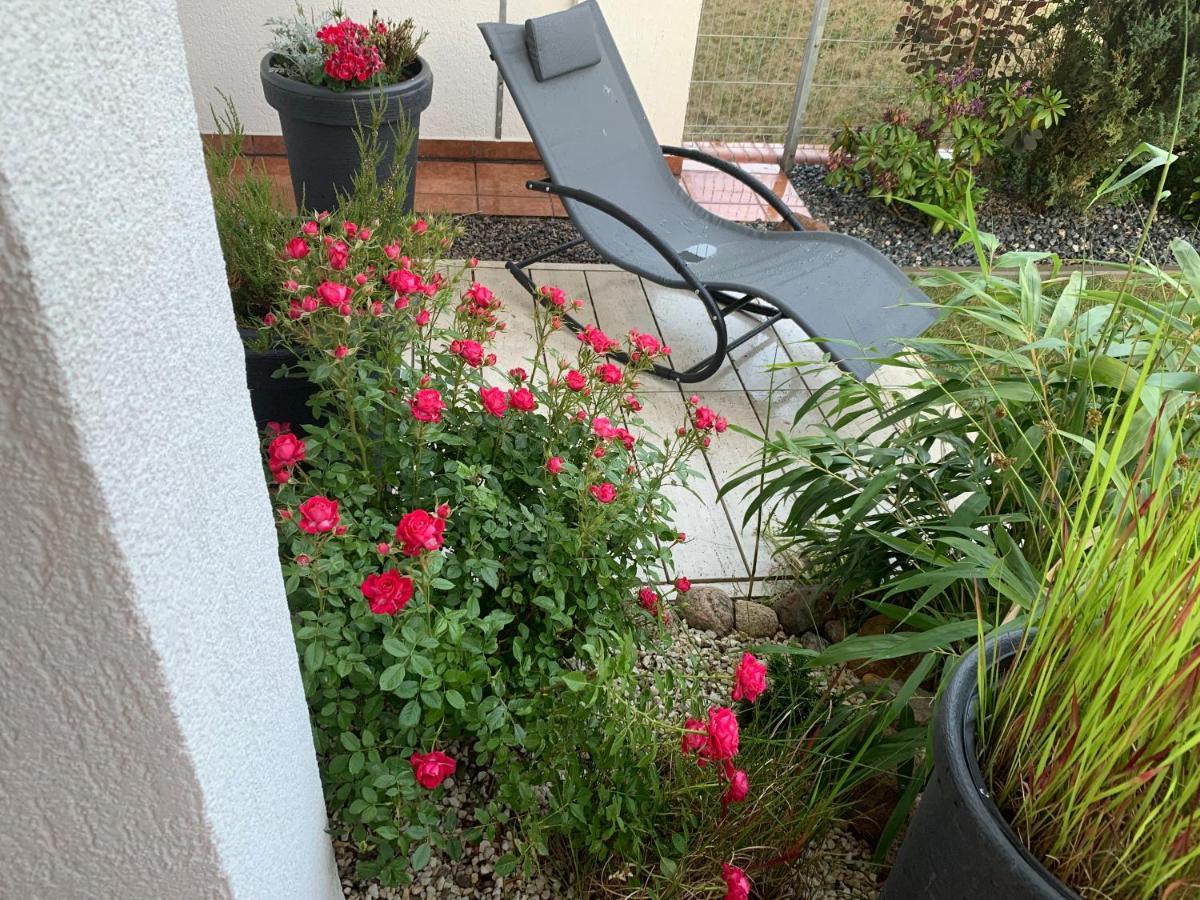 Apartament Dunska Stettin